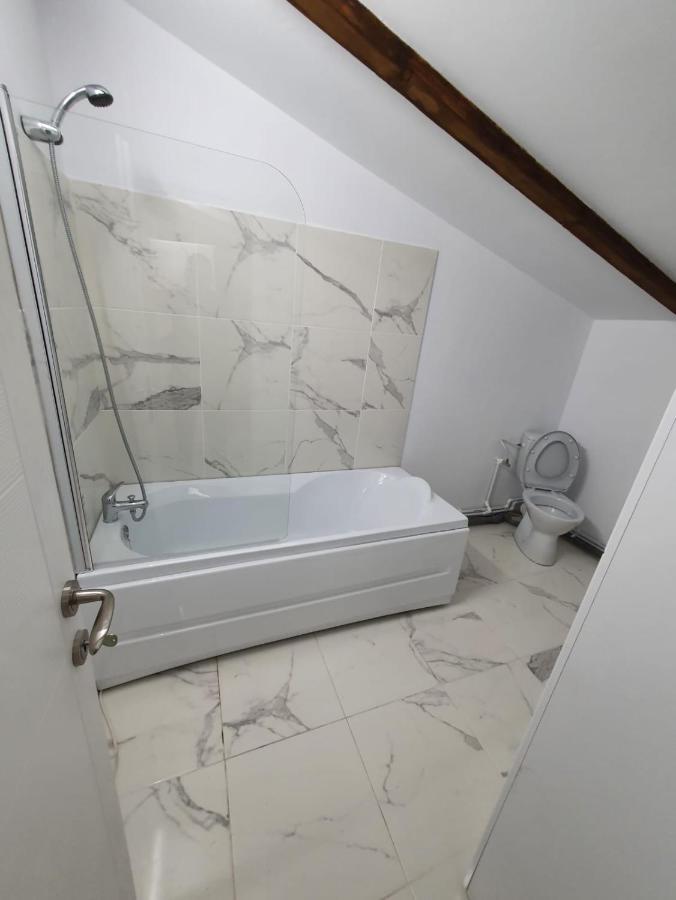 Jolie Art Apartment Braila Exterior photo