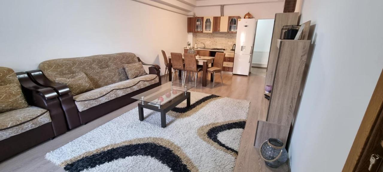 Jolie Art Apartment Braila Exterior photo