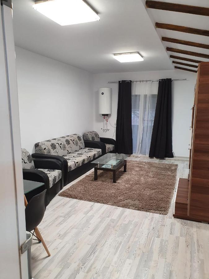 Jolie Art Apartment Braila Exterior photo