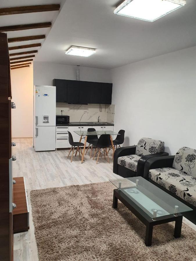 Jolie Art Apartment Braila Exterior photo